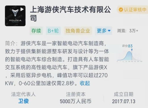 ppt造車猶如竹籃打水 游俠汽車董事長(zhǎng)股權(quán)被凍結(jié)