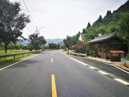 臨安公路榮膺省級綠化美化精品道路，橋梁藝術融入生態(tài)長廊